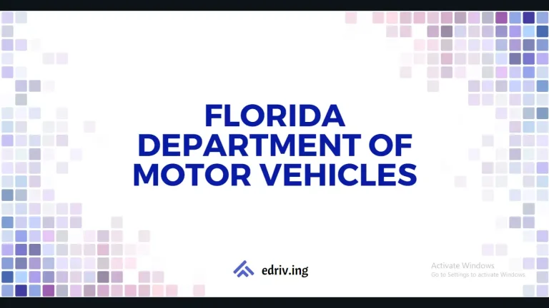 Florida Department of Motor Vehicles