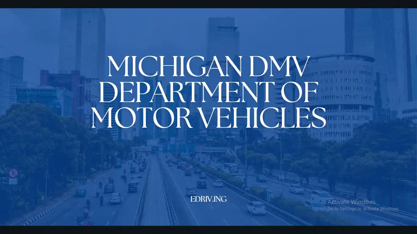 Michigan DMV Department of Motor Vehicles - eDriving